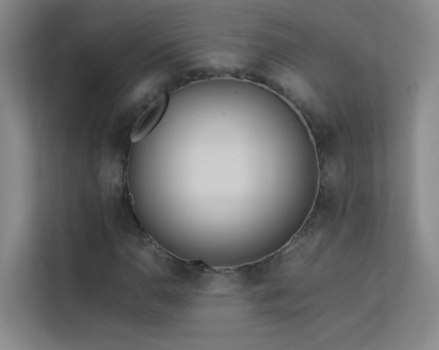 X0000113891110200909241411