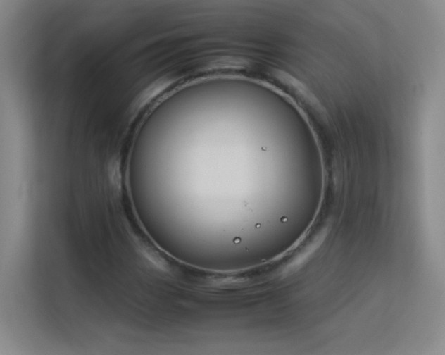 X0000113891113200909241411
