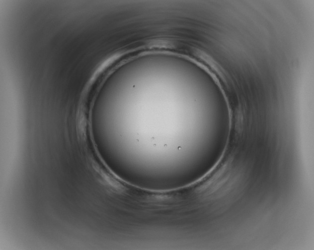 X0000113891115200909241411