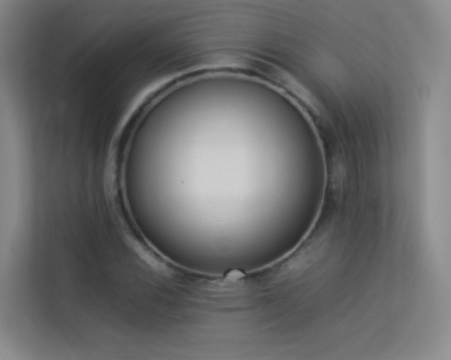 X0000113891116200909241411