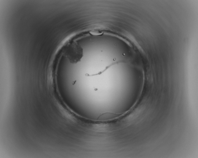 X0000113891118200909241411