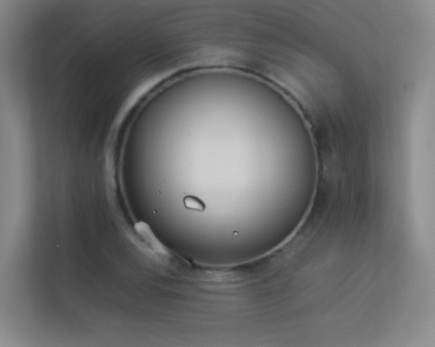 X0000113891120200909241411