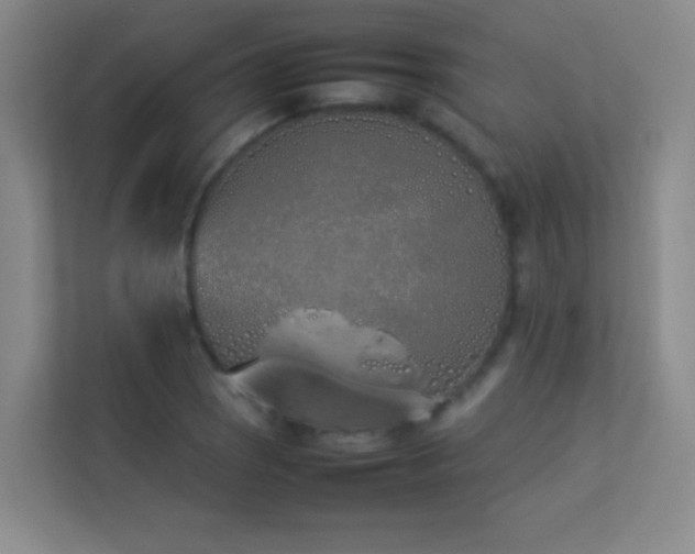 X0000113891121200909241411