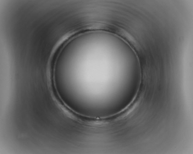 X0000113891122200909241411