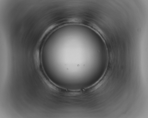 X0000113891123200909241411