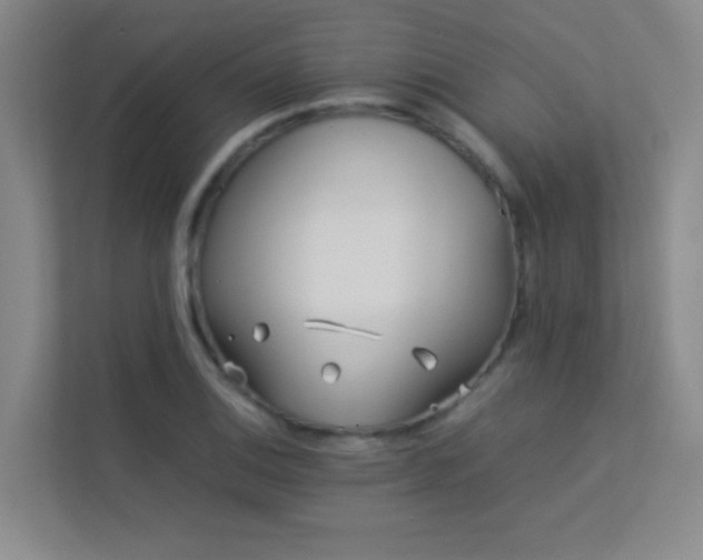 X0000113891124200909241411