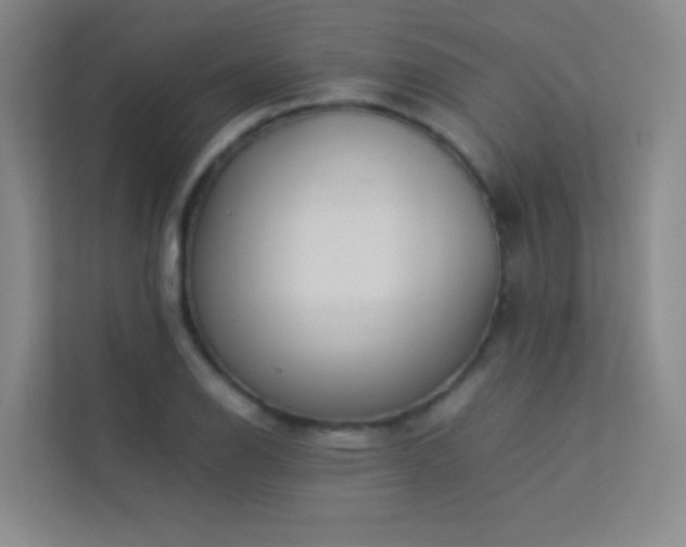 X0000113891126200909241411