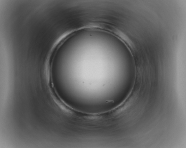 X0000113891127200909241411