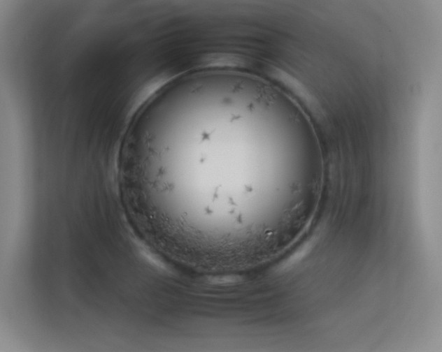 X0000113891129200909241411