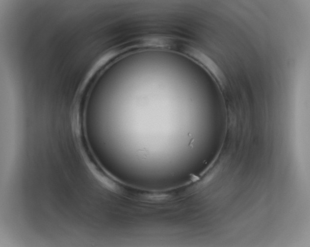 X0000113891131200909241411