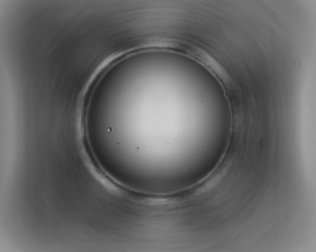 X0000113891132200909241411
