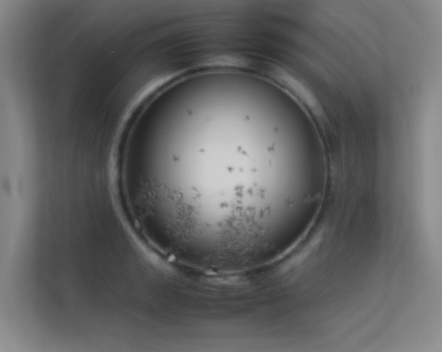 X0000113891133200909241411