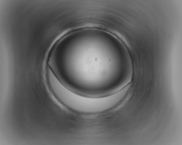 X0000113891134200909241411