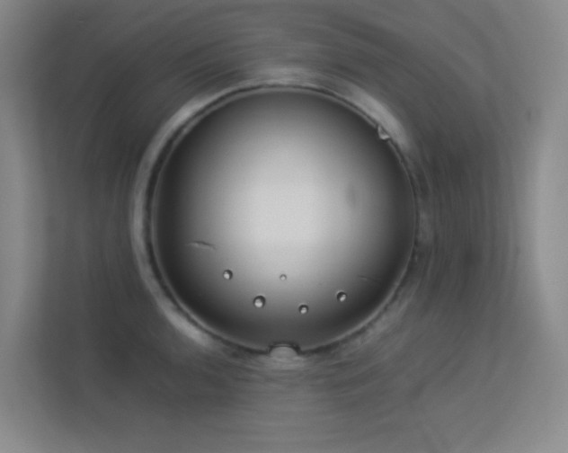 X0000113891136200909241411