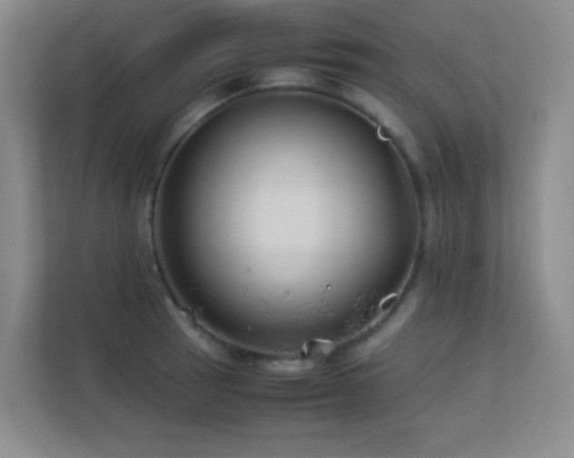 X0000113891137200909241411