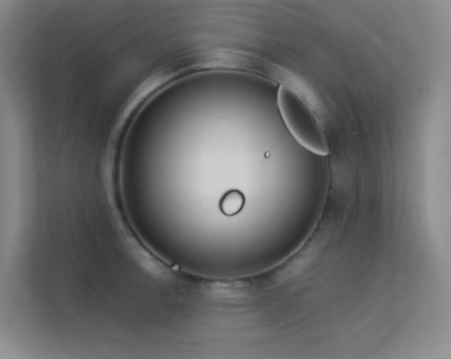 X0000113891138200909241411