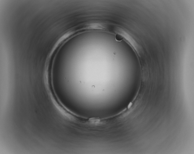 X0000113891139200909241411