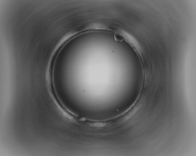 X0000113891141200909241412