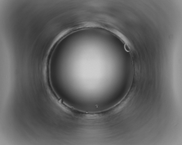 X0000113891142200909241412
