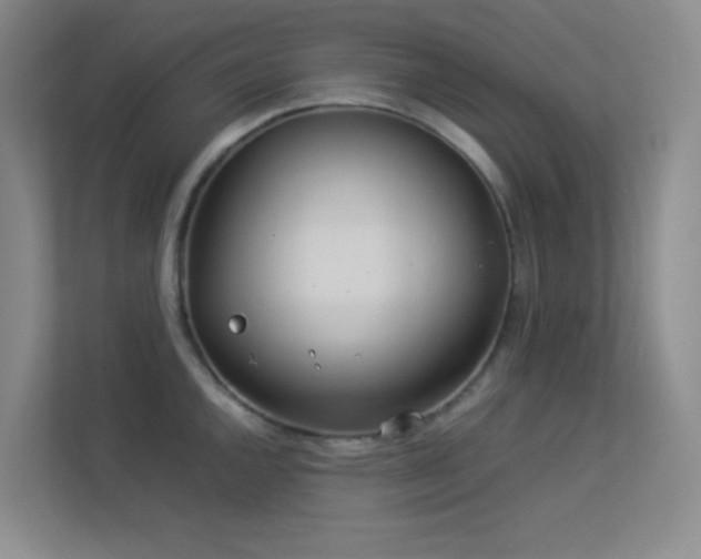 X0000113891144200909241412
