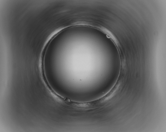 X0000113891149200909241412