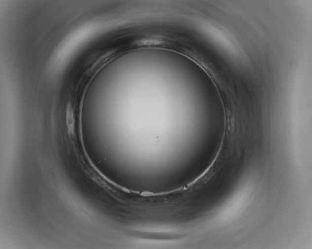 X0000113891151200909241412