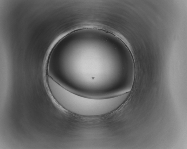 X0000113891152200909241412