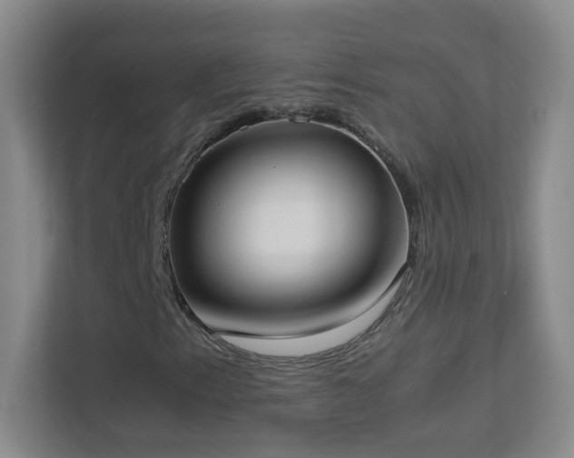 X0000113891153200909241411