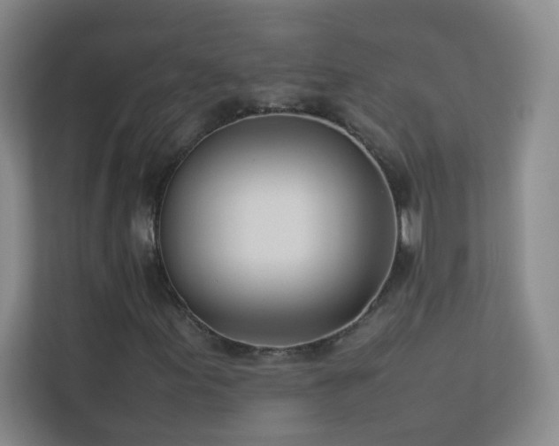X0000113891155200909241411