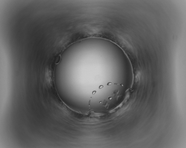 X0000113891156200909241411