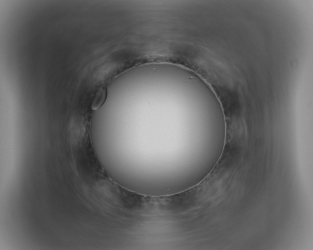 X0000113891157200909241411