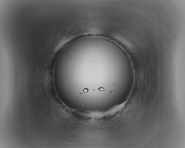 X0000113891160200909241411