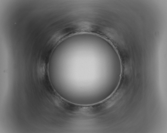 X0000113891161200909241411