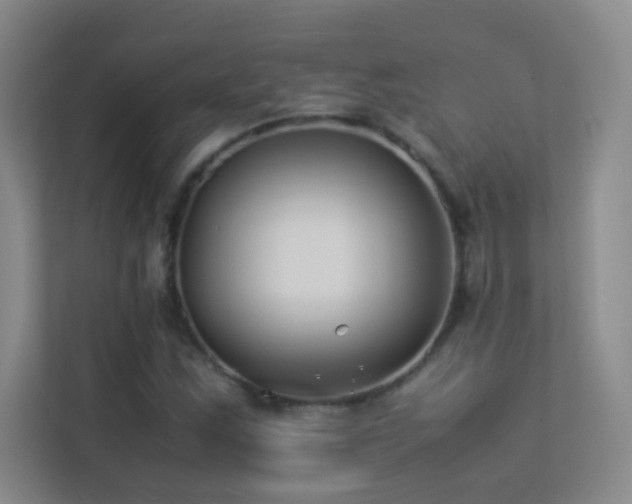 X0000113891163200909241411