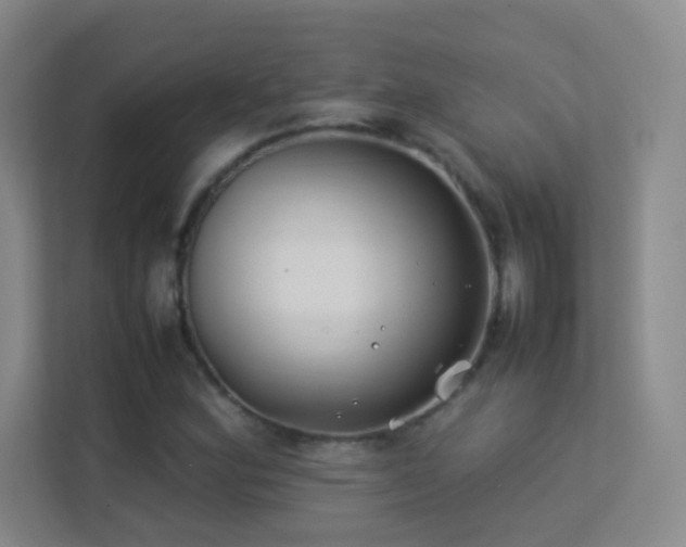 X0000113891164200909241411
