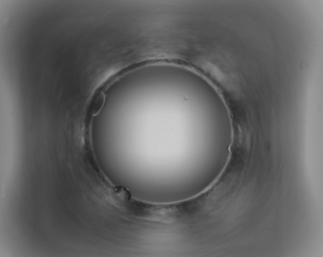X0000113891165200909241411