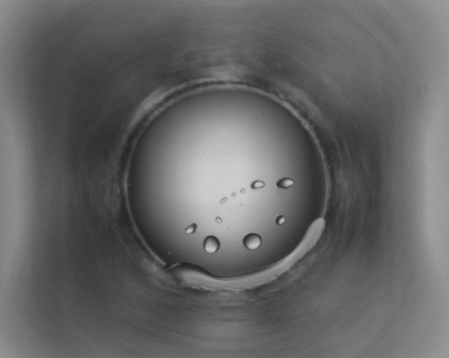 X0000113891168200909241411