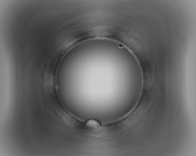 X0000113891169200909241411