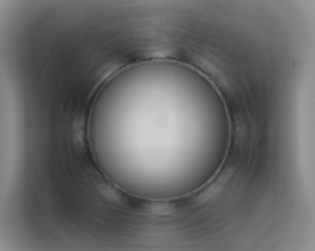 X0000113891170200909241411