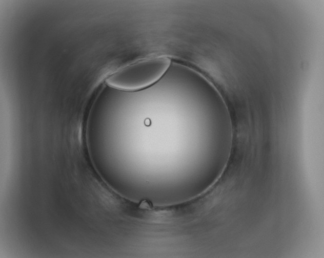 X0000113891173200909241411