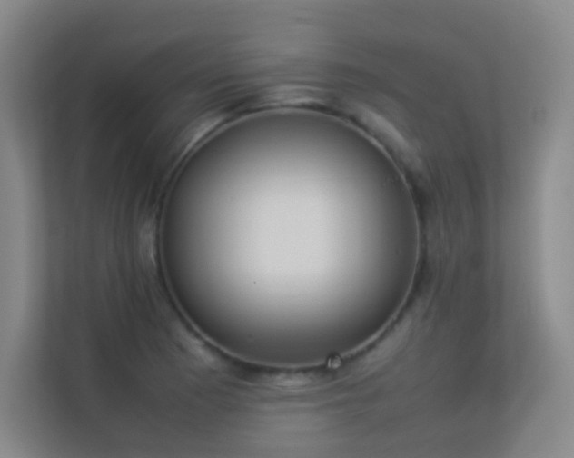 X0000113891177200909241411