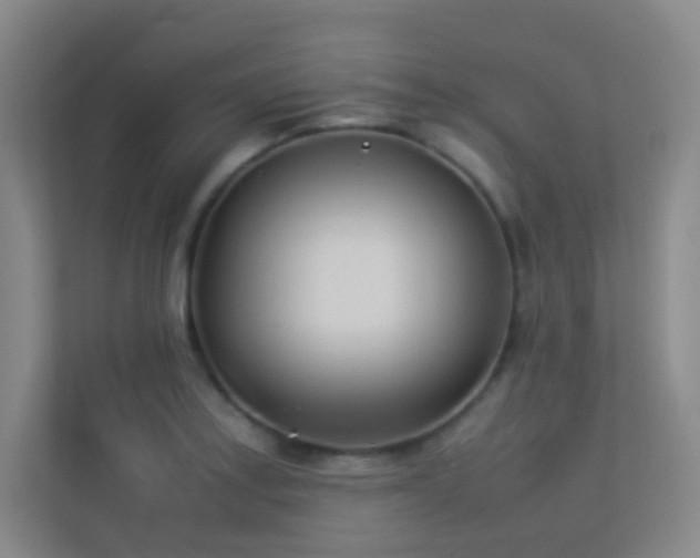 X0000113891179200909241411
