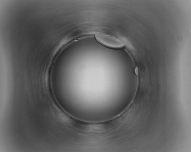 X0000113891181200909241411
