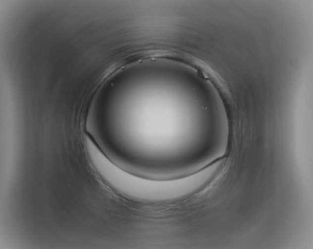 X0000113891185200909241411