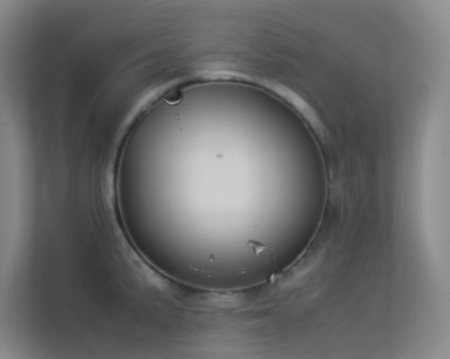 X0000113891191200909241410
