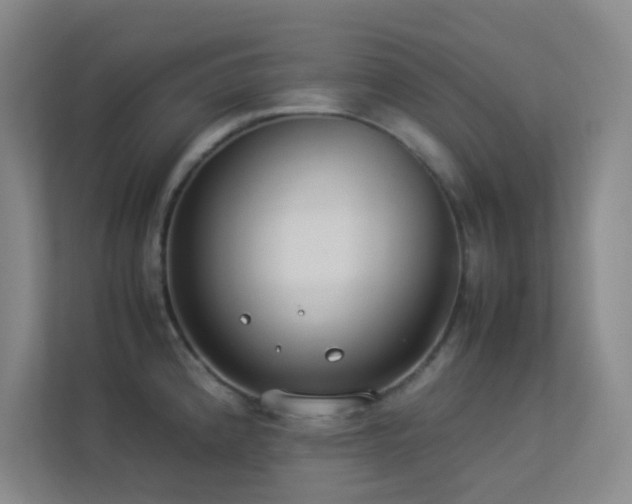X0000113891192200909241410