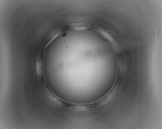 X0000113891194200909241410