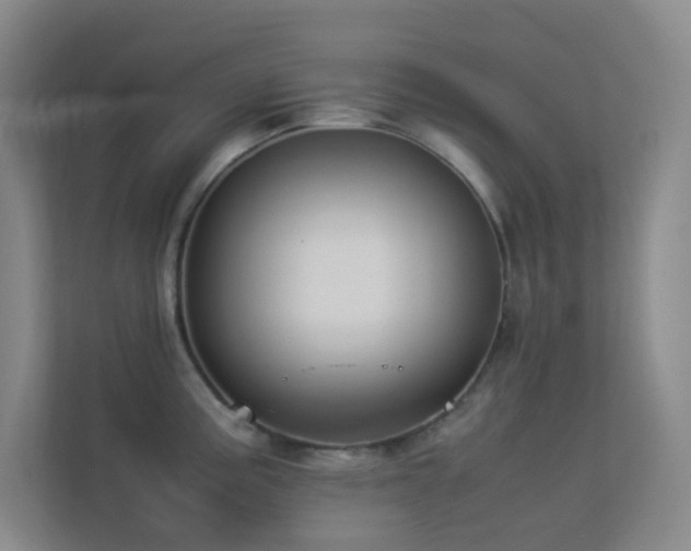 X0000113891195200909241410