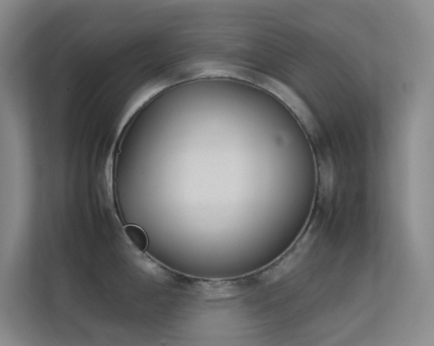 X0000113891198200909241410