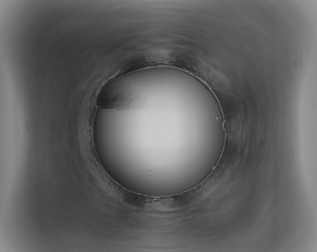 X0000113891201200909241410